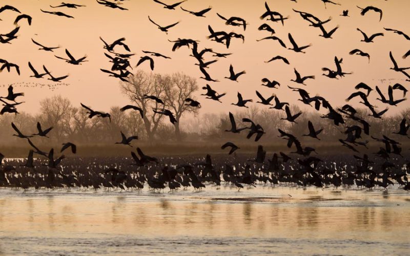 exc-5aba7e480e2e7253fa31b9b6