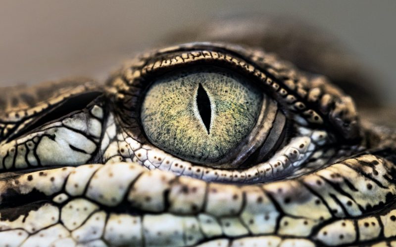 exc-61f429a46e20fc5cade2fe0a