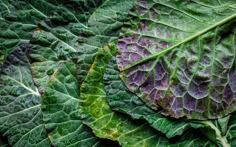 exc-5f73af9603d1a7339e9e5f64