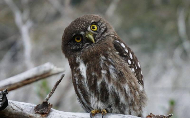 exc-620a92865f6a070a880c9be7